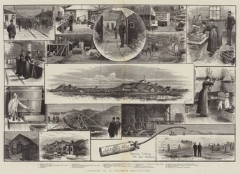 Schizzi in una fabbrica di dinamite (incisione)