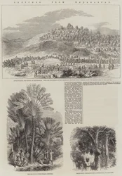 Schizzi dal Madagascar