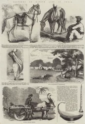 Schizzi di vita nativa in India (incisione)