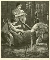 Scuoiamento dell