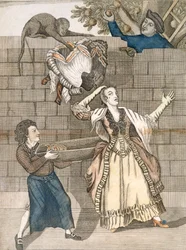 Prestigio di mano di una scimmia o la testa della signora scaricata, da un disegno originale di Grimm, stampato per Carington Bowles, Londra, pub. 1778