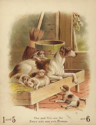 Spot e i suoi cinque cuccioli