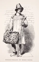 Venditore di nidi di uccelli per strada, illustrazione da London Labour and London Poor di Henry Mayhew, pub. 1862