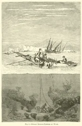 Pescatori di spugne siriani al lavoro
