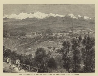 Coltivazione del Tè in India Britannica, Vista di Darjeeling dal Sud