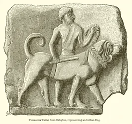Tavoletta di Terracotta da Babilonia, Rappresentante un Cane Indiano