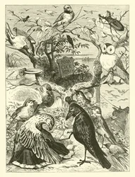 La morte e la sepoltura di Cock Robin
