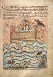 La colomba e il corvo, dal 