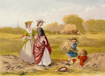 Il campo di fieno