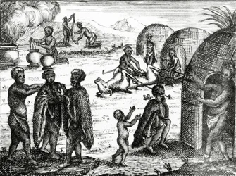 Gli Ottentotti adorano un certo insetto, illustrazione da 