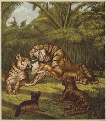 La ricezione del leone (litografia a colori)
