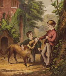 Il piccolo cane fidato
