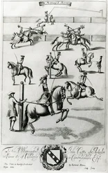 Il cavallo addestrato, da 