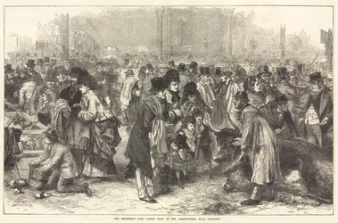 La mostra di bestiame del Smithfield Club all