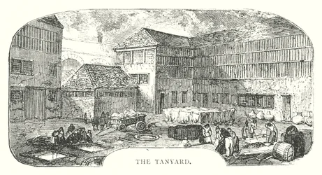 Il Tanyard (incisione)