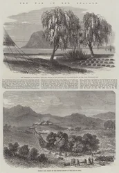 La guerra in Nuova Zelanda (incisione)