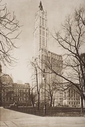 Il Woolworth Building, New York, illustrazione da 