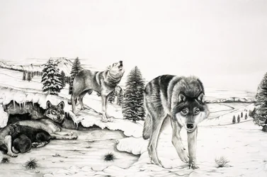 Il mondo della natura: Il 