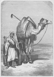 La nave del deserto