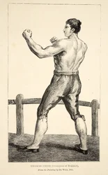 Thomas Cribb, Campione d