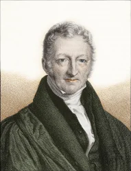 Thomas Robert Malthus (incisione colorata)