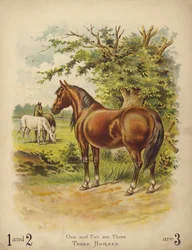 Tre cavalli