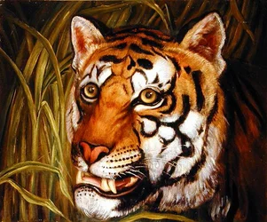 Tigre, tigre che brucia luminosa...