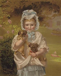 Piccoli animali domestici