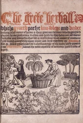 Pagina del titolo che illustra una scena di giardino con figure, 1529