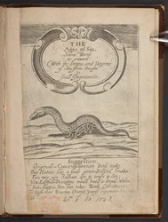 Pagina del titolo di The Ages of sin, or, Sinnes birth & growth
