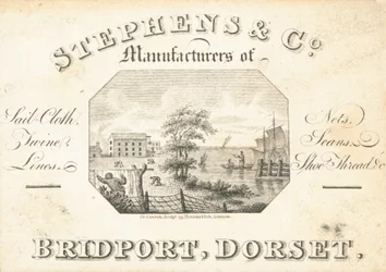 Biglietto commerciale, Stephens & Co