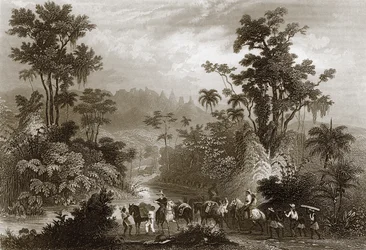 Viaggi in Brasile