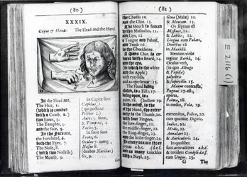 Due pagine da Orbis Sensualium Pictus di Comenius, 1659