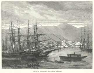 Veduta di Honolulu, Isole Sandwich (incisione)