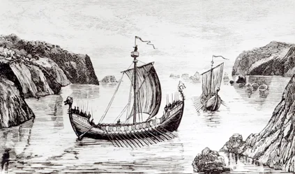 Navi vichinghe