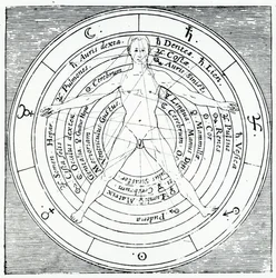 Figura vitruviana, da «Utriusque Cosmi Historia» di Robert Fludd, pubblicato nel 1617