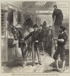Viaggio del Principe di Galles in India, esercitazione dei cavalli del Principe di Galles a bordo della HMS Serapis
