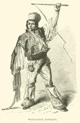 Postiglione valacco