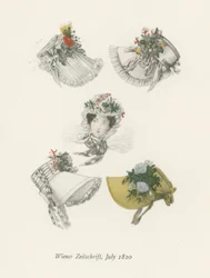Wiener Zeitschrift, luglio 1820