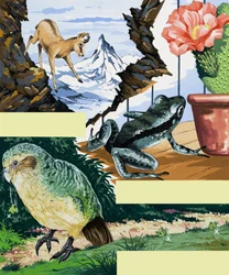 Montaggio di fauna selvatica