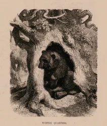 Quartieri d
