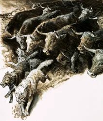 Lupi coinvolti in una fuga precipitosa