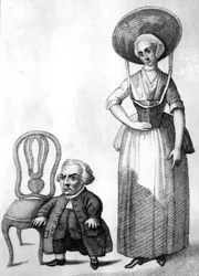 Wybrand Lolkes, illustrazione in 