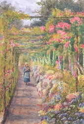 Giovane ragazza che cammina sotto una pergola di rose