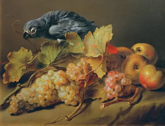 Natura morta con pappagallo e uva