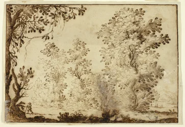 Paesaggio boscoso con viaggiatore in primo piano