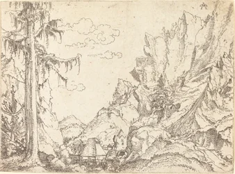 Paesaggio montano
