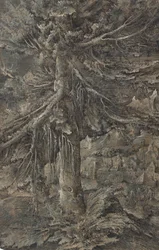 Il grande abete. Paesaggio montano con una città fortificata e una fortezza, un grande abete in primo piano
