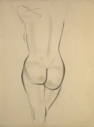 Il nudo