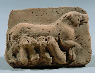 Una cagna che allatta i suoi cuccioli ...